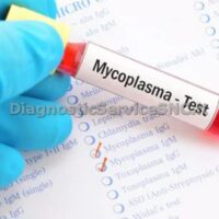 Mycoplasma