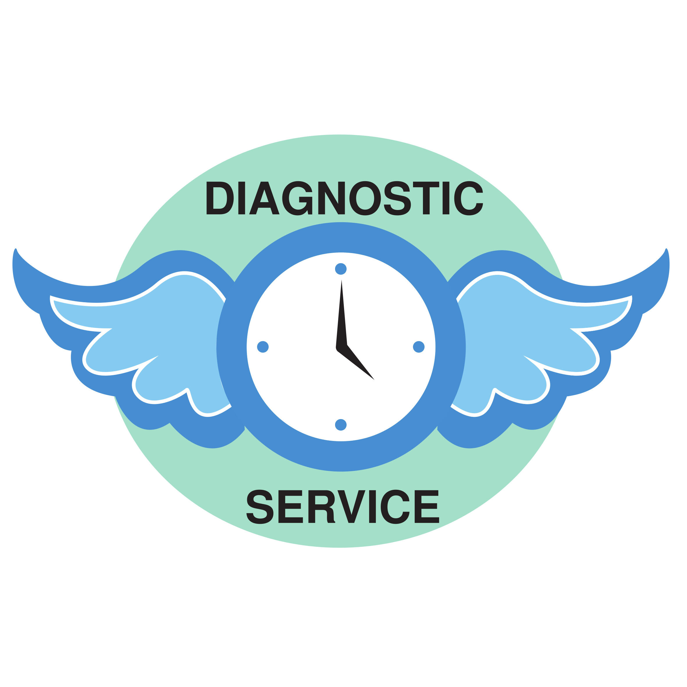 Diagnostic Service snc